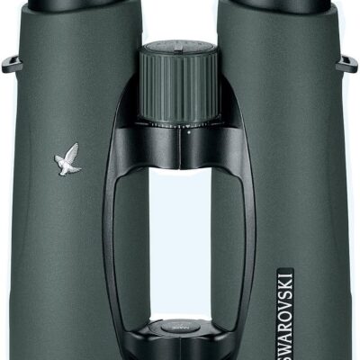 Swarovski EL 10×42 Binocular with FieldPro Package, Green  Electronics