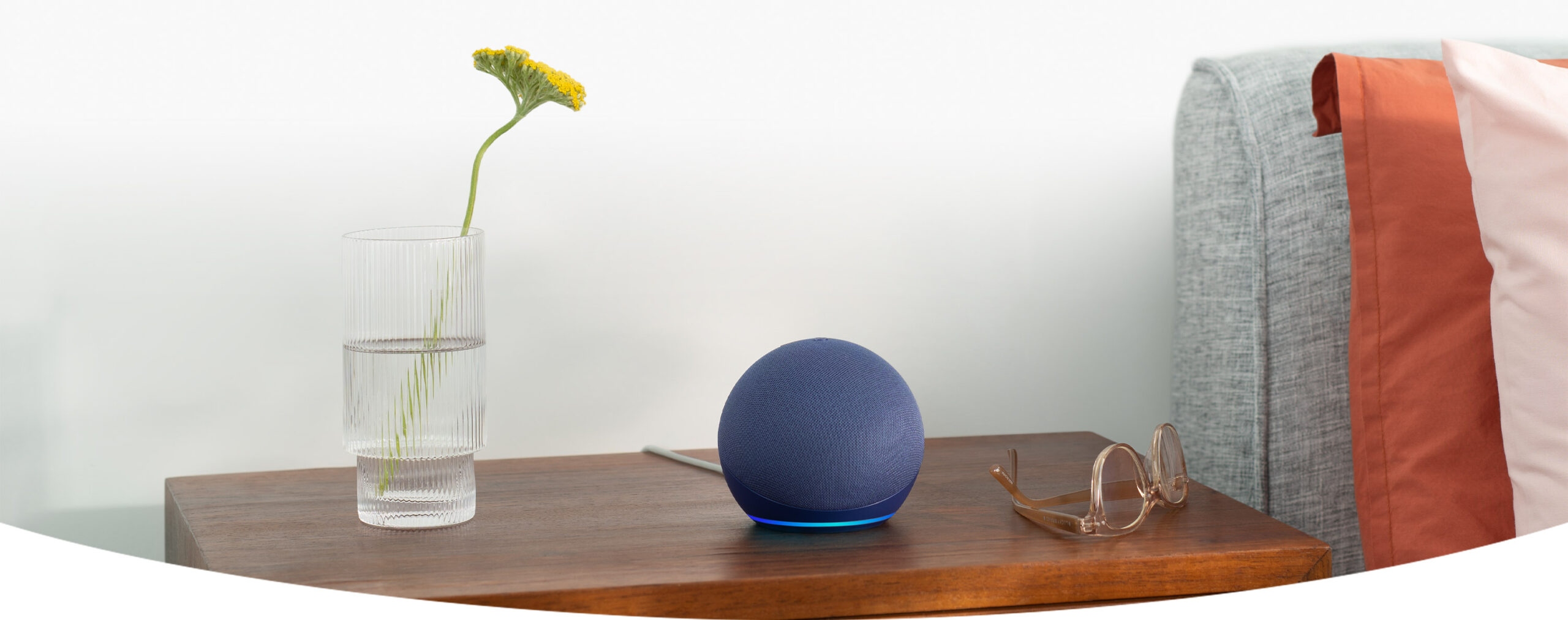 Amazon Echo Dot feature
